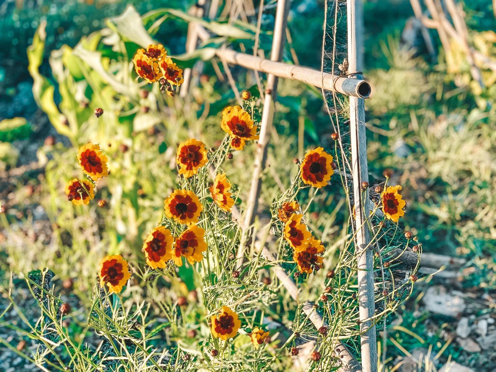 Stay At Pachamama Community 알카세르두살 객실 사진